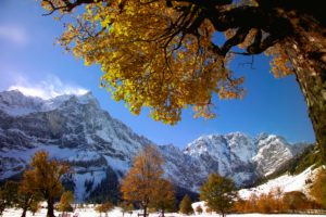 Great maple ground, Karwendel mountains, Austria Great maple ground, Karwendel mountains, Austria